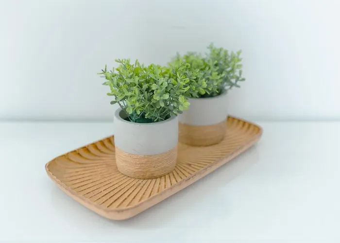 דירה Antiga Adega *