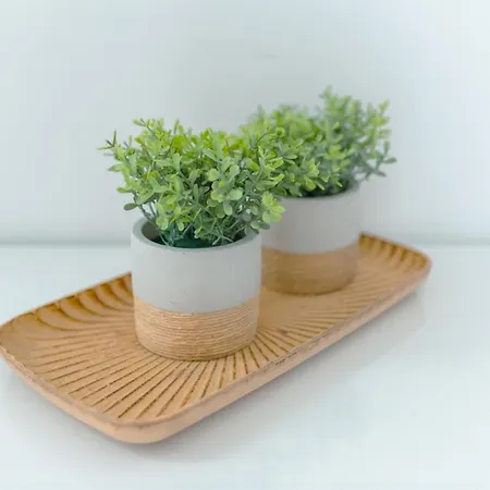 Apartament Antiga Adega *